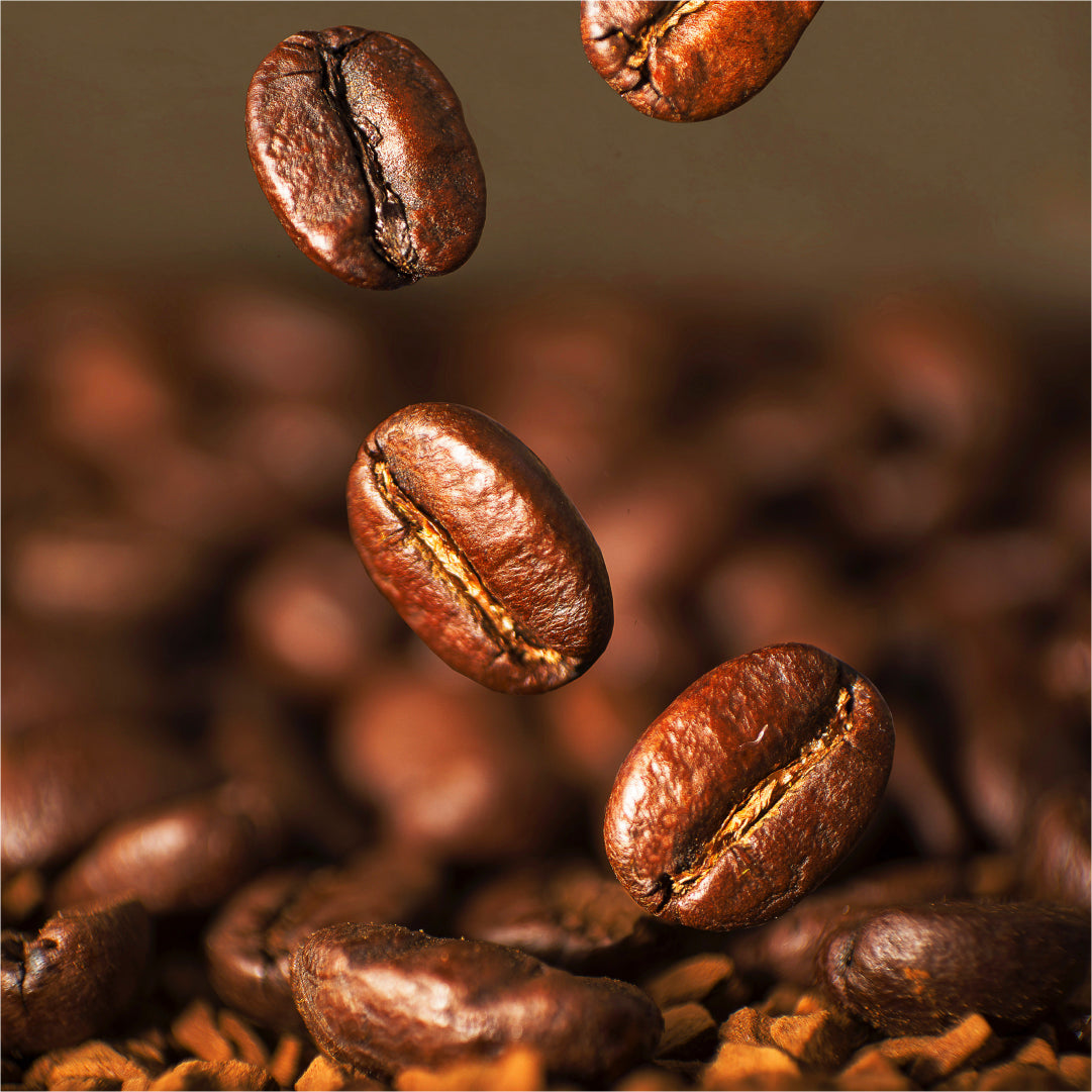 
                  What is Robusta Coffee
                