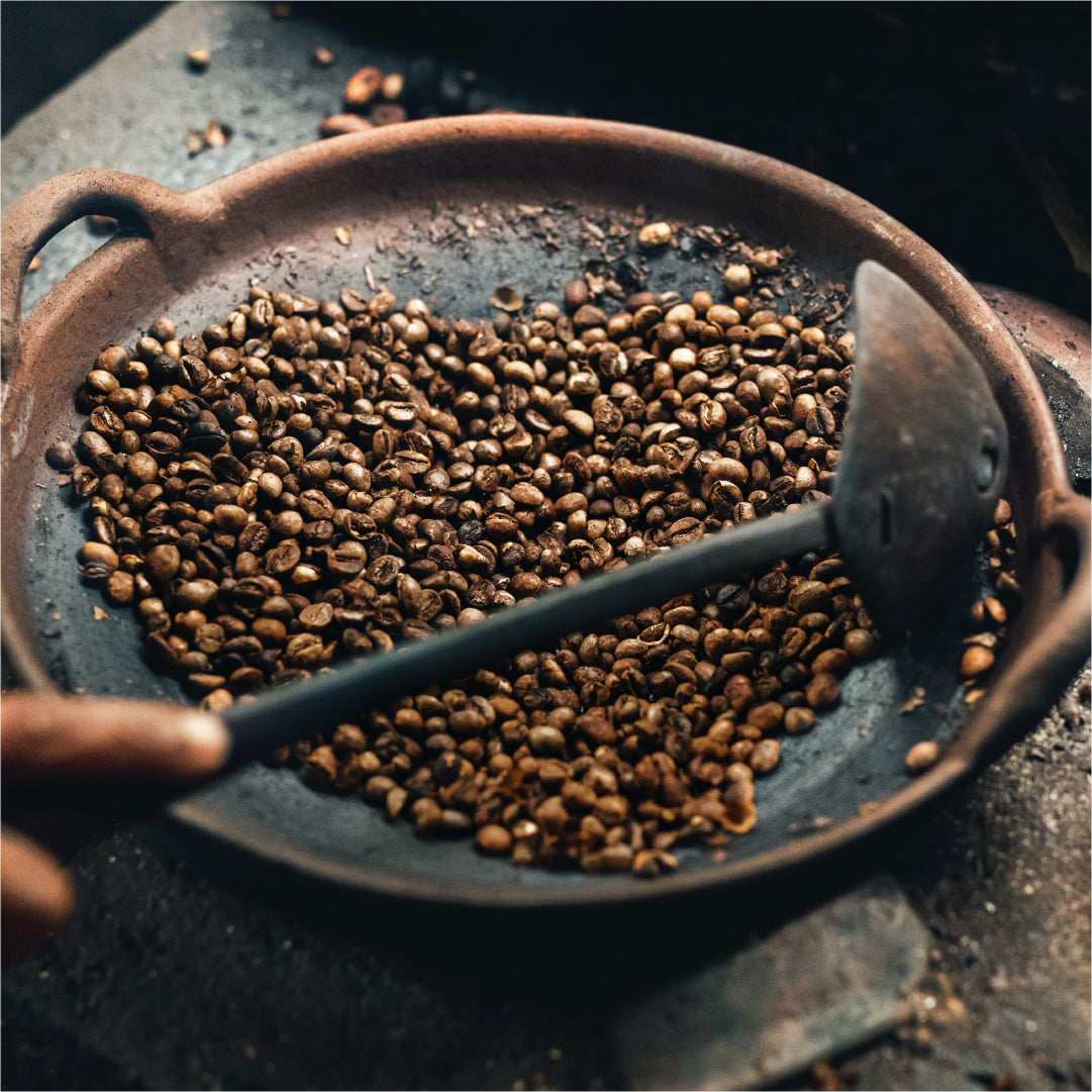
                  Do You Know About Kopi Luwak Coffee? - Coffee Life by EspressoWorks
                