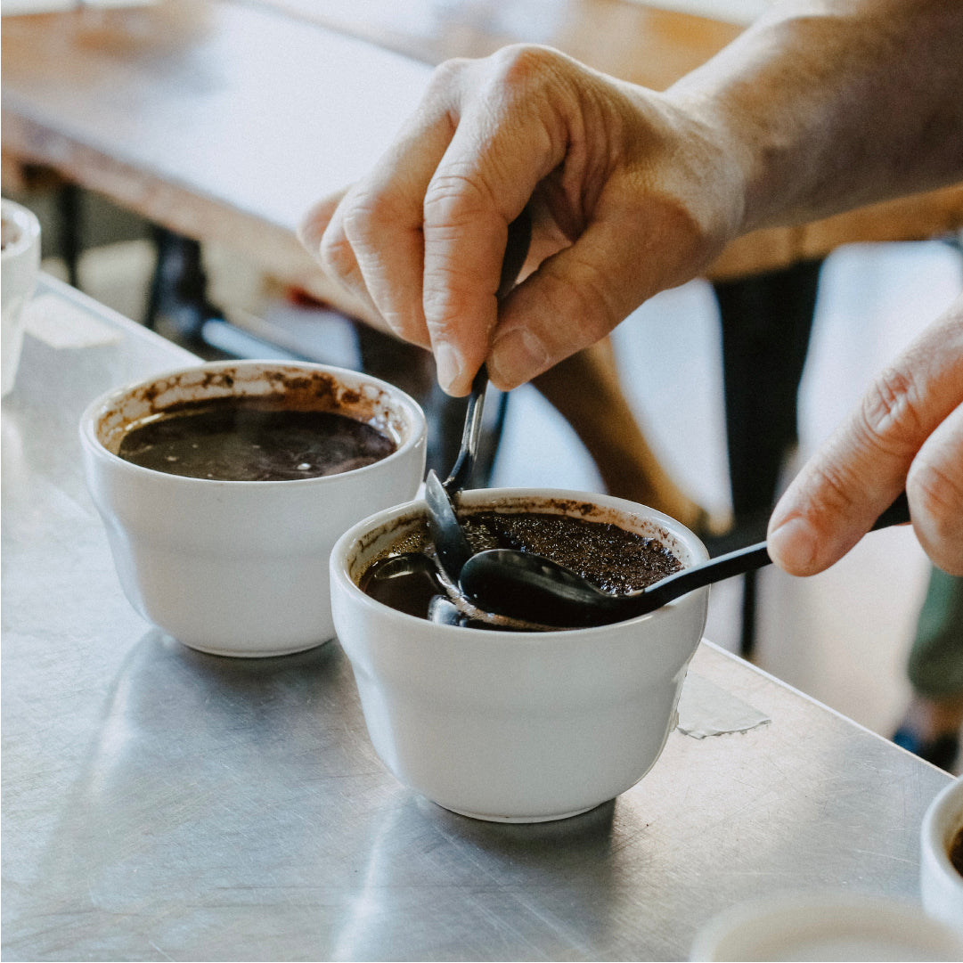 
                  The Secrets to Coffee Tasting Revealed - Coffee Life by EspressoWorks
                