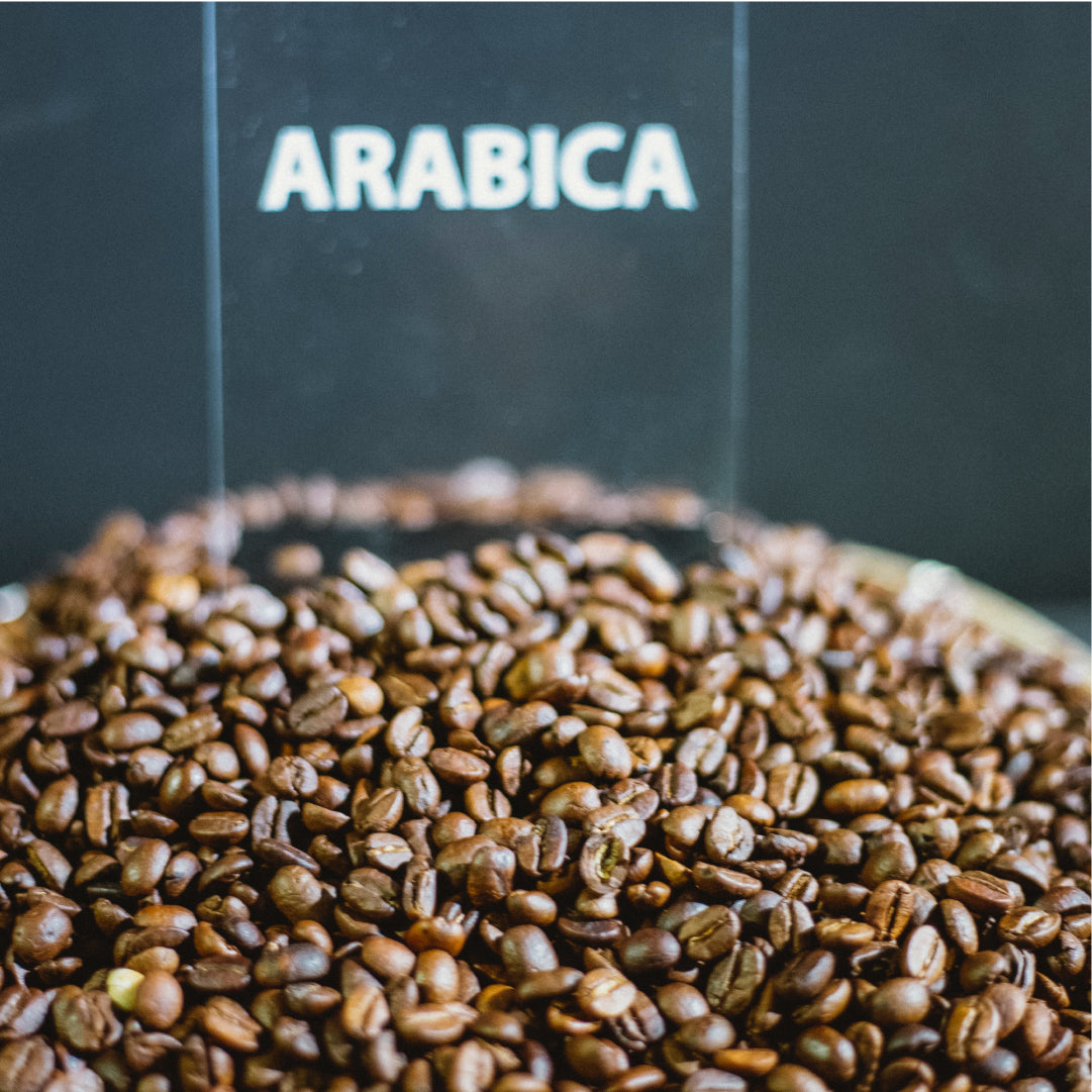 
                  What Is Arabica Coffee?
                