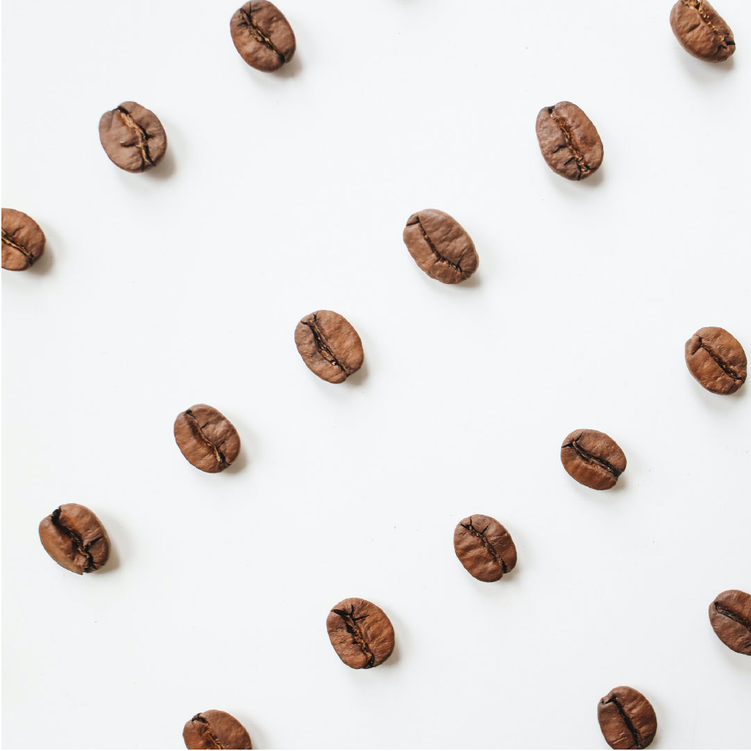 The Ultimate Guide to Every Type of Coffee Bean by Coffee Life, an EspressoWorks blog