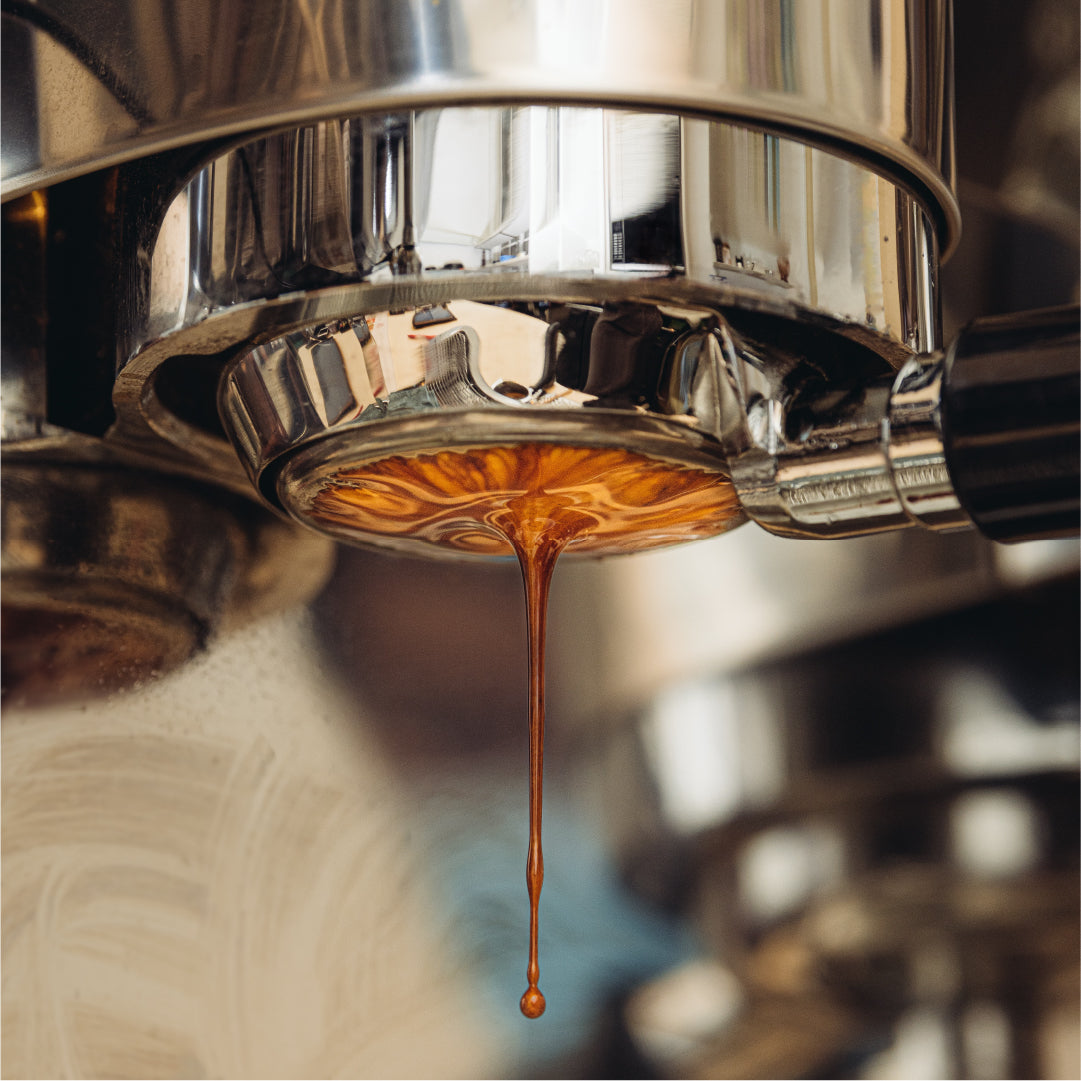 Espresso Coffee Tamper - Black | Barista Essentials by EspressoWorks