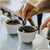 
                  The Secrets to Coffee Tasting Revealed - Coffee Life by EspressoWorks
                