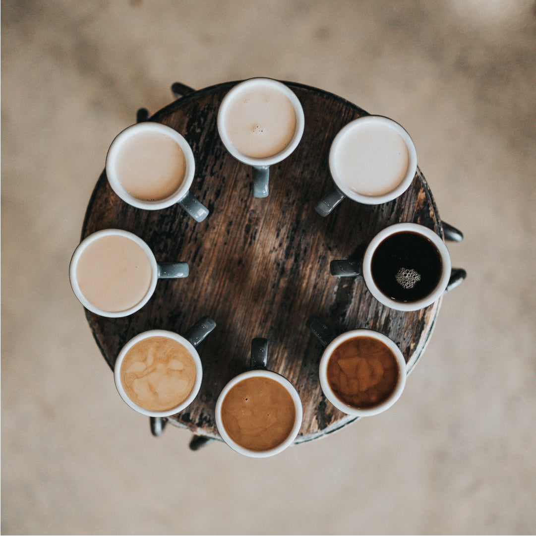 Master How to Pour the Perfect Coffee Ratio - Coffee Life by EspressoWorks